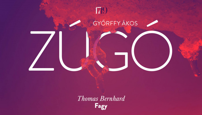 Testen kívüli tények (Thomas Bernhard: Fagy)