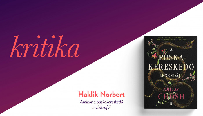 Amikor a puskakereskedő mellétrafál (Amitav Ghosh: A puskakereskedő legendája)