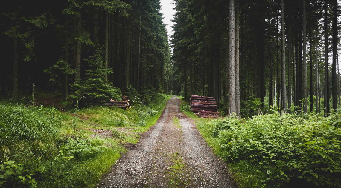 Freke Räihä: Jelenetek a finnországi, a kietlen skånei tájból, sőt még Västerbottenből is (részletek)