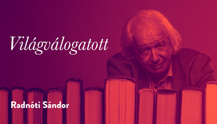 Világválogatott – Szubjektív 11 a világirodalomból (Radnóti Sándor)