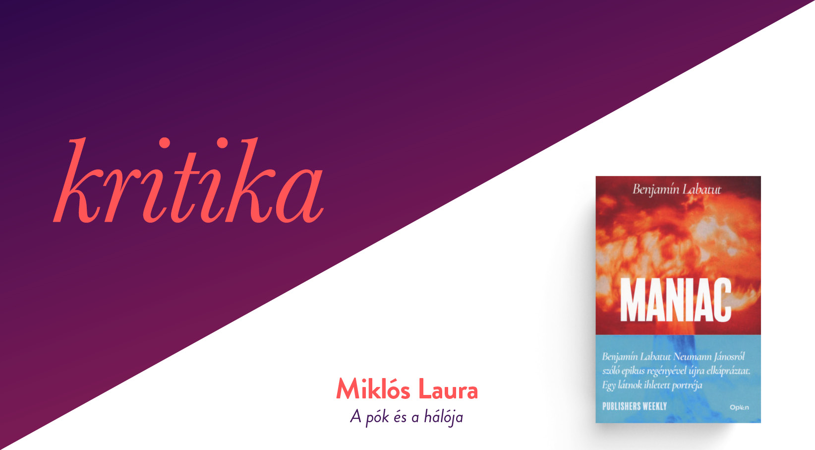 A pók és a hálója (Benjamin Labatut: MANIAC)