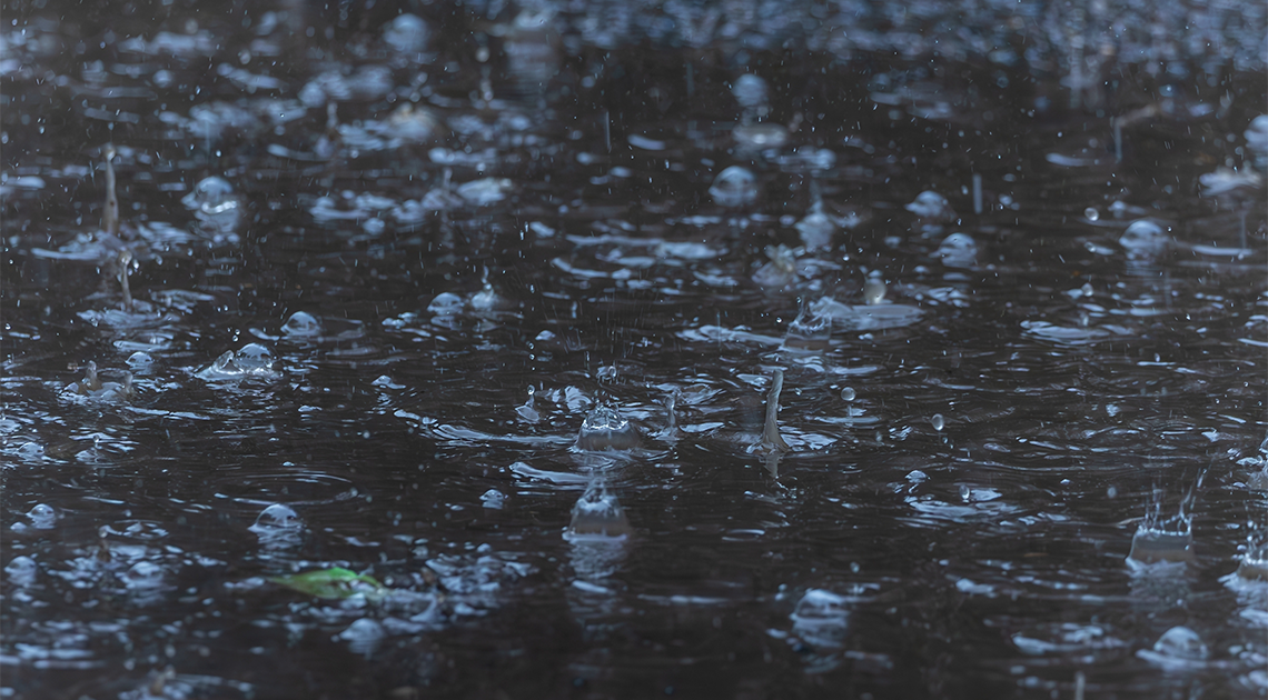 Andrés García Cerdán: Eső után