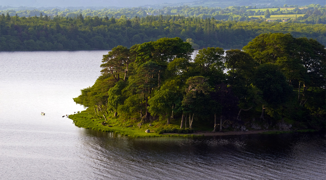 William Butler Yeats versei