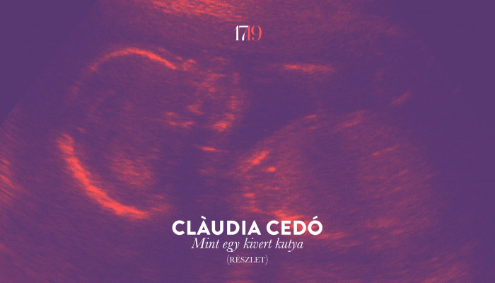 Clàudia Cedó: Mint egy kivert kutya (részlet)